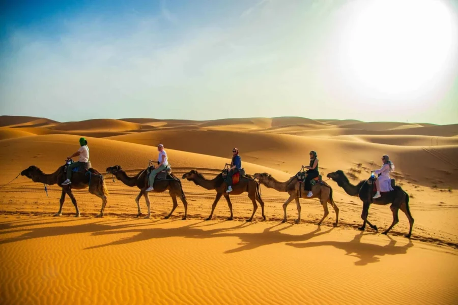 trip to merzouga from marrakech